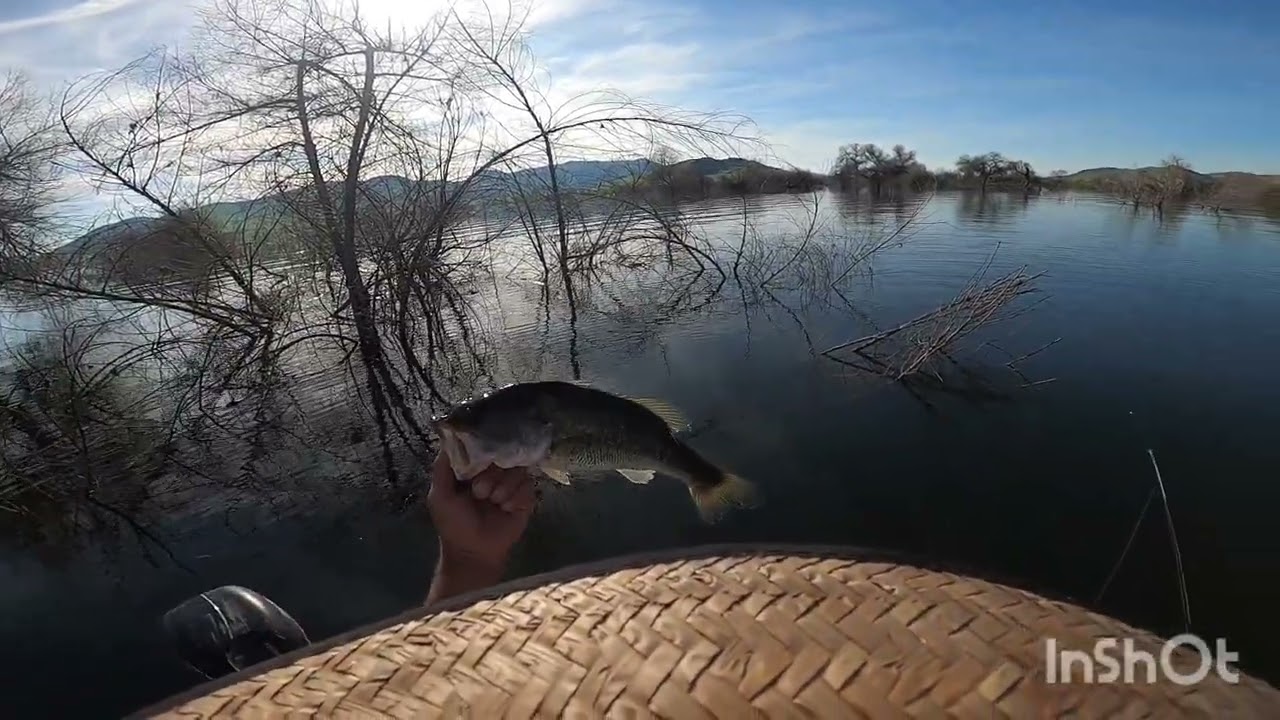 2025 lake success Porterville Ca. Bass fishing