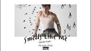 Vietsub | Smells Like Me - Charlie Puth | Lyrics Video