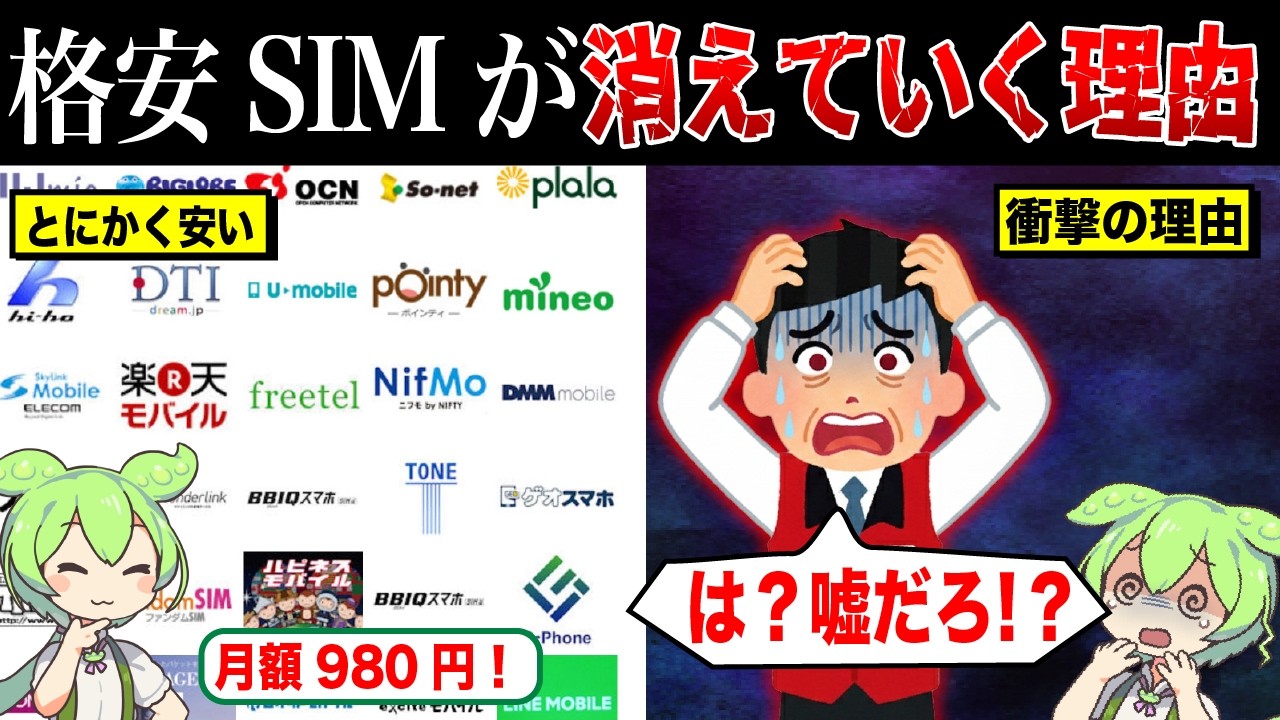 なぜ格安SIMが消えているのか？【ずんだもん&ゆっくり解説】