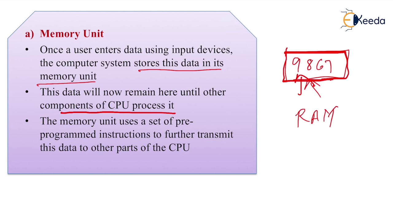 Components of Computer System - YouTube