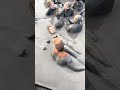 اصعب مواقف محرجة وقعت امام الناس 