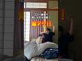 【愛媛旅行】1泊3,000円台のネコ旅館が癒しすぎた