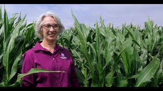 The Heart Of Science Ana - Brazil