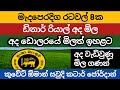 අද ඩිනාර් එකක මිල |dollar rate & kuwait dinar exchange rate today |ada riyal ekaka mila |saudi price
