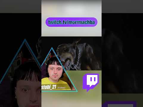 The Place Where Dogs Bark In Peace 