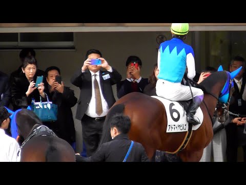 近藤旬子の動画 画像 動画検索 マイルドサイト