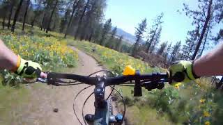 Beacon Hill Spokane Spring 2025