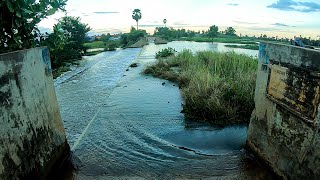 Remove Floating Plants Clogged Massive Dam Drain Water