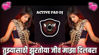 Tuzya sathi zurtoya maza jiv dilbara dj song | Active pad dj song |