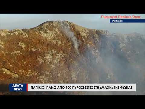 Παπίκιο Όρος: Πάνω από 100 πυροσβέστες στην «μάχη» της φωτιάς