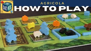 How to Play Agricola in under 10 minutes screenshot 1