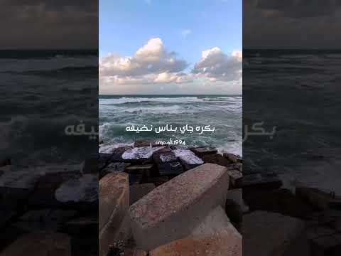 بالسلامه فارس قطرية 