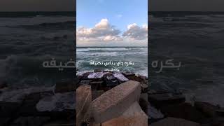 بالسلامه - فارس قطرية