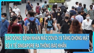 Báo động: Số ca mắc Covid-19 tăng chóng mặt, Bộ Y tế Singapore ra thông báo khẩn