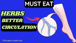 10 miracle herbs to supercharge your leg circulation instantly