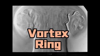 【Luftvis Schlieren】The Beautiful Waves in the Formation of Vortex Ring