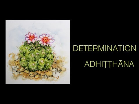 The Ten Perfections: Determination