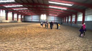 Horse Riding At Monksfield 2