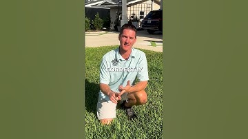 The Correct Length To Cut Your Grass