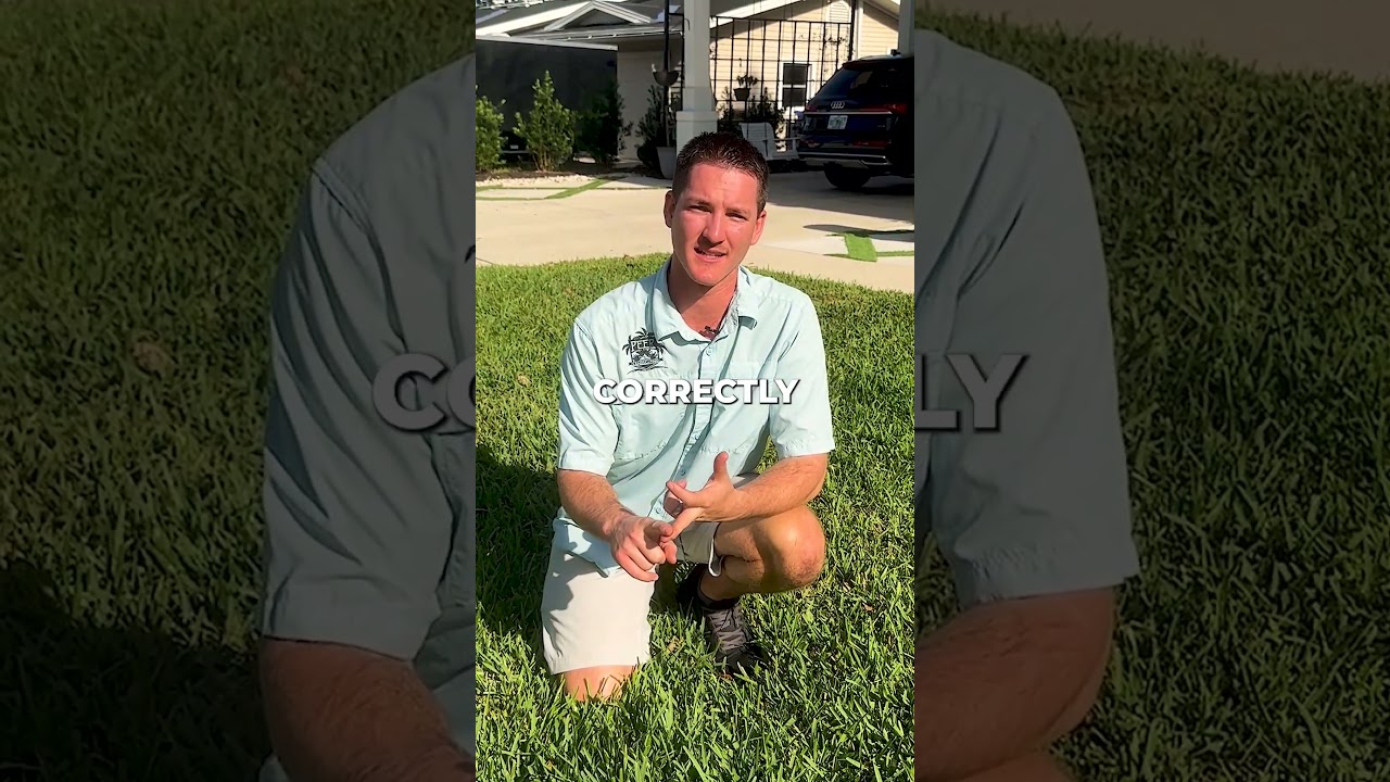 The Correct Length To Cut Your Grass