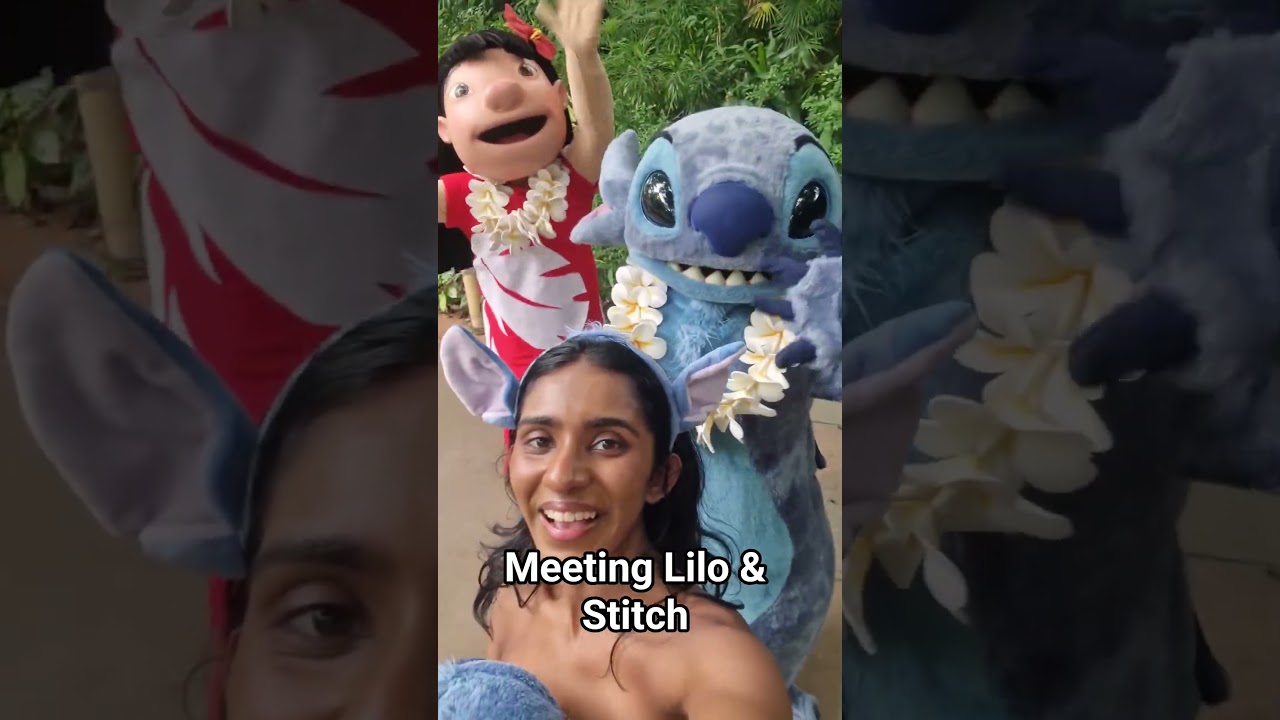Lilo & Stitch character meet 