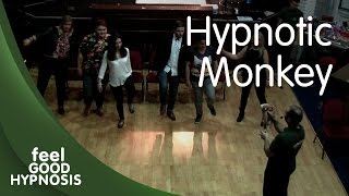 Hypnotic Monkey