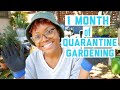 Quarantine Gardening (for my sanity) | Video Journal No. 1
