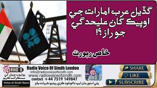 Why UAE Left OPEC? Iran War Impact, Oil Politics &amp; Middle East Power Shift Explained