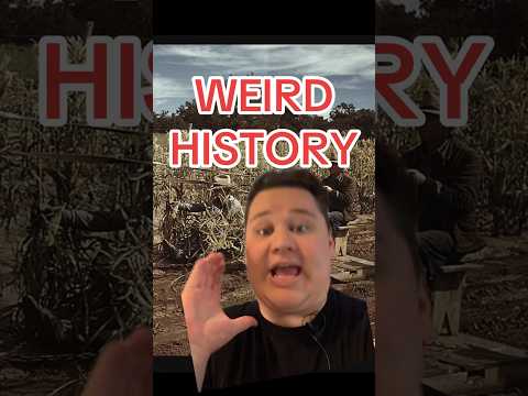 GREAT DEPRESSION ERA HISTORY history usa america greatdepression historyfacts midwest farming