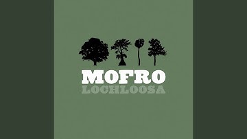 Thumbnail of Fireflies