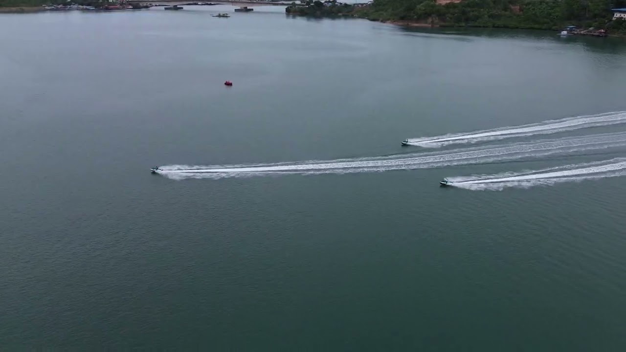 TM Multimedia Design