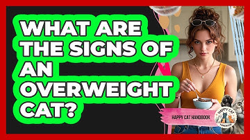 What Are The Signs Of An Overweight Cat? - Happy Cat Handbook