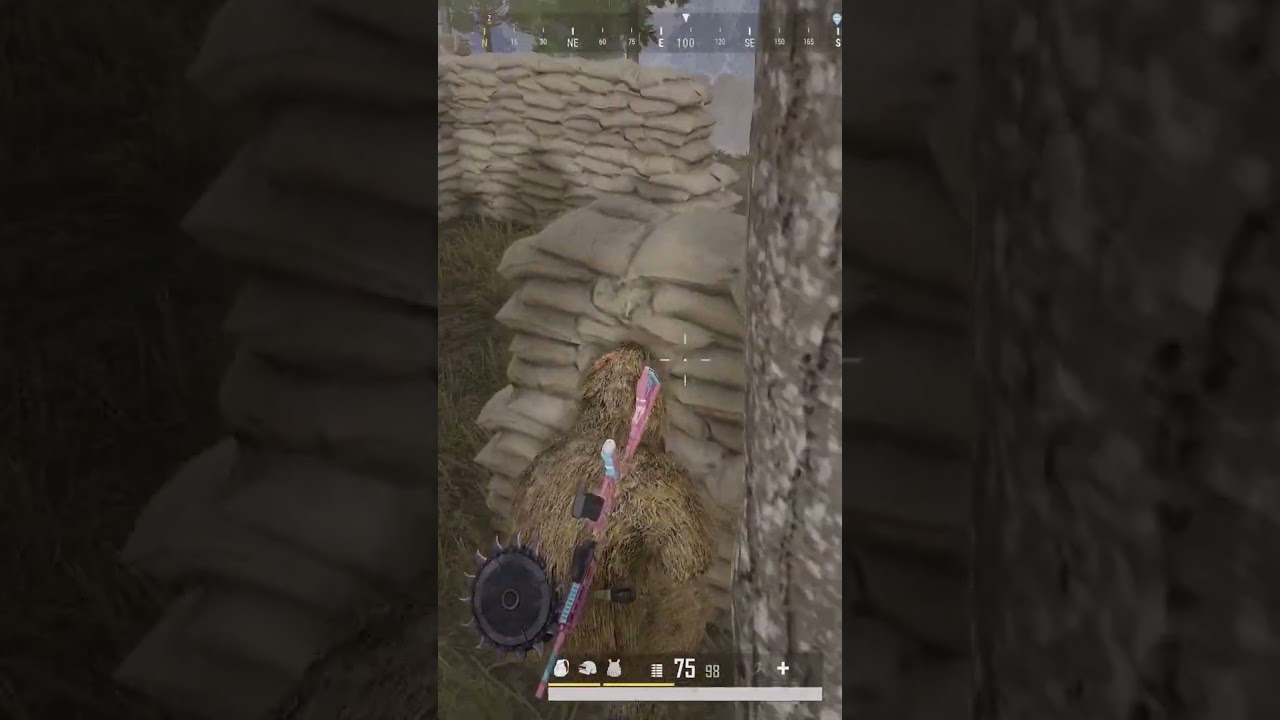 cena de pollo para el clan LOS BOTS MX