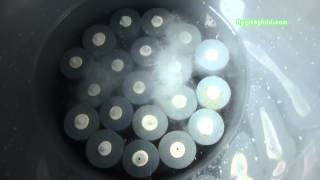 Cleaning DWC Air Stones