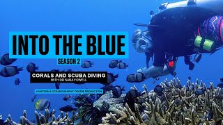 What Corals Tell Us About the Health of the Ocean and Scuba Diving Stories | Into the Blue Podcast @NOCnews