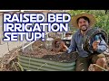 How to setup drip irrigation for your raised beds