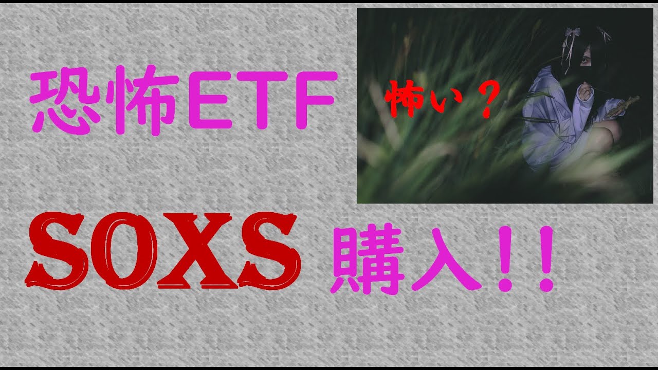 Update おっそろしいぜ!恐怖のETF、SOXS買ってしまった!!!