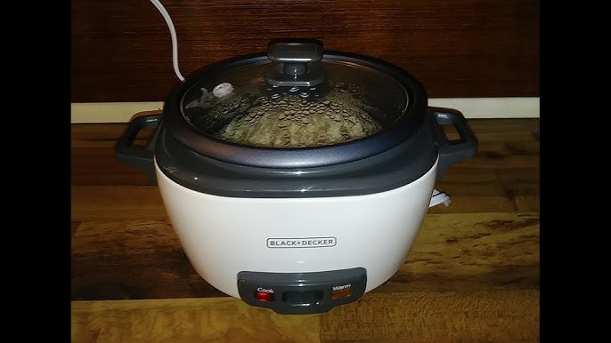 Black and Decker RC506 6-Cup Rice Cooker 