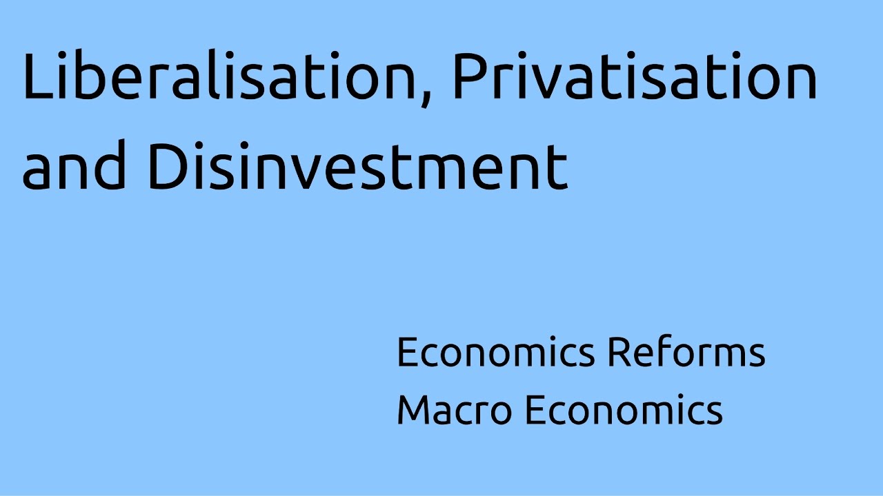 disinvestment meaning in economics