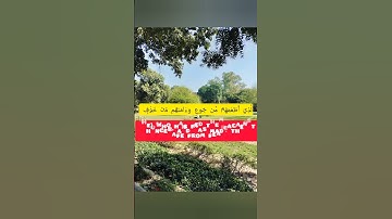 سورة قريش مع الشيخ ماهر المعيقلي