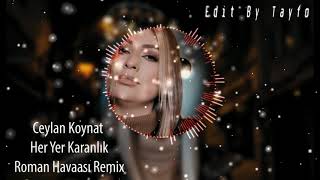 Ceylan Koynat - Her Yer Karanlık ( Roman Havası Remix ) 2021 Resimi