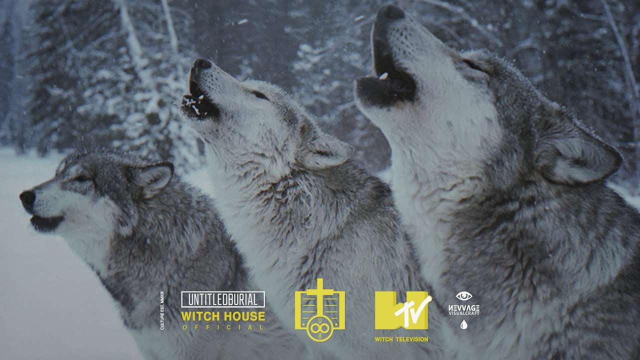 ♾ Blood Wolf — The Night is Cold - YouTube