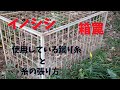 イノシシ　箱罠  　蹴り糸と糸の張り方