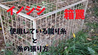 イノシシ　箱罠  　蹴り糸と糸の張り方