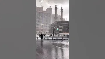 وديلى سلامى يا رايح للحرم بدون موسيقى 