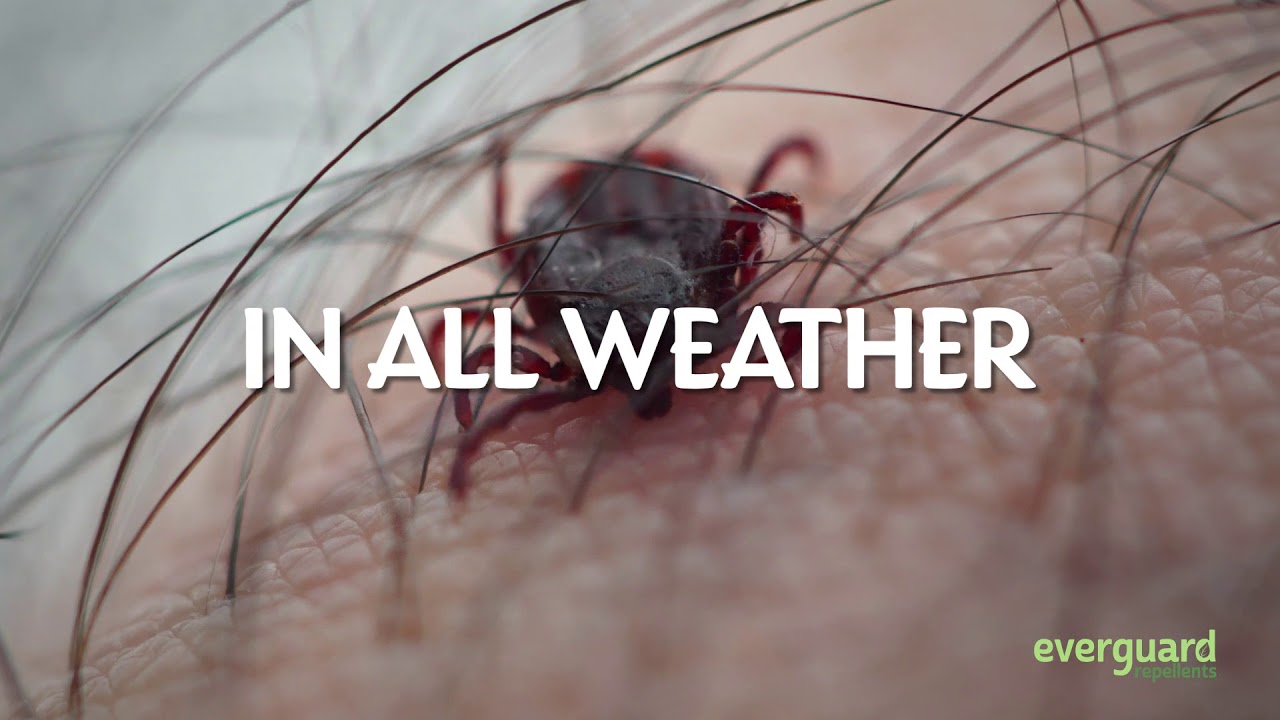 201888 BigShot American Deer Proofing inc Edit2