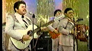 Eliseo Robles Vestida De Color De Rosa