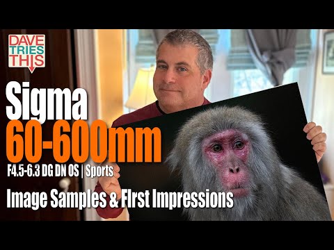 Sigma 60-600mm F4.5-6.3 DG DN OS - Image Samples & Impressions *