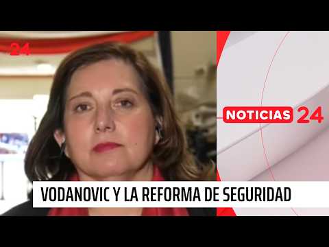 Vodanovic y reforma de seguridad: “No quieren retirar el proyecto porque no quieren reconocer error”