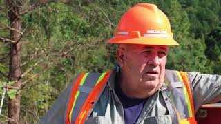 Logger of the Year 2017